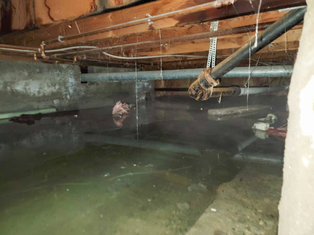 Reliable GA Water damage restoration Solutions