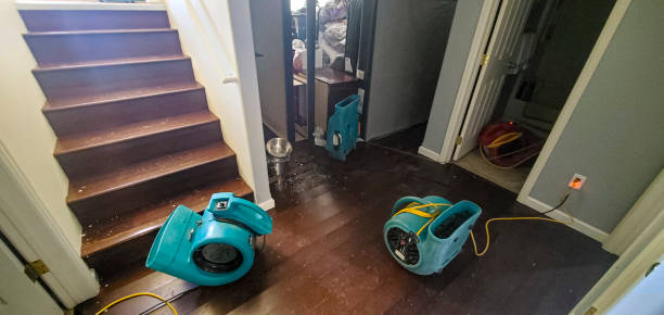 Best Mold removal after water damage  in Redan, GA
