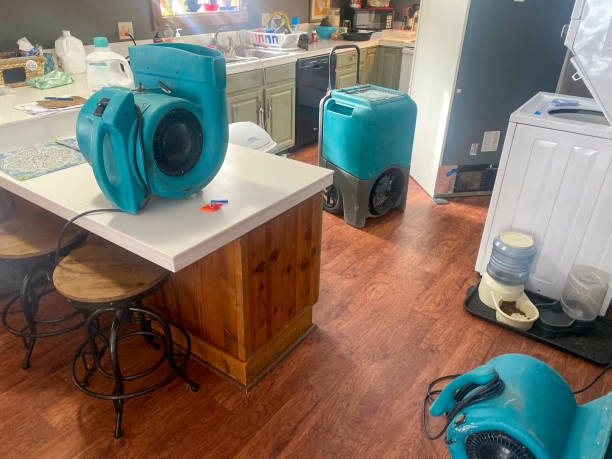 Best Water damage contractors near me  in Redan, GA