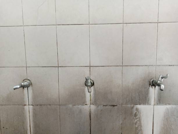 Best Professional water damage repair  in Redan, GA